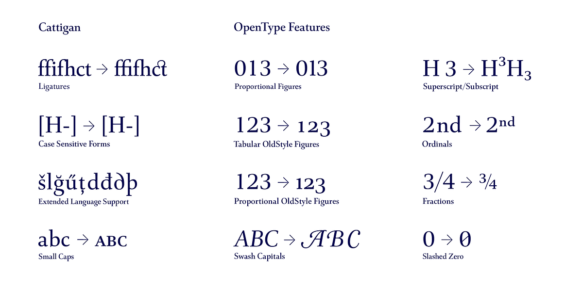 Cattigan, a Serif Font by Hoftype (Photo 11 of 15)