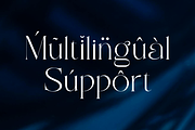 Epical Roman, a Font by zaaintype (Thumbnail 10 of 10)