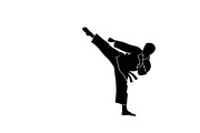 Dynamic martial arts kick silhouette, a Graphic by Amazin_art (Thumbnail 15 of 36)