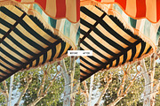 Honey Golden Glow Lightroom Presets, a Preset Add-On by PixaSquare (Thumbnail 7 of 10)