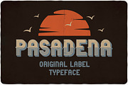 Pasadena typeface, a Symbol Font by VozzyStock (Thumbnail 1 of 7)