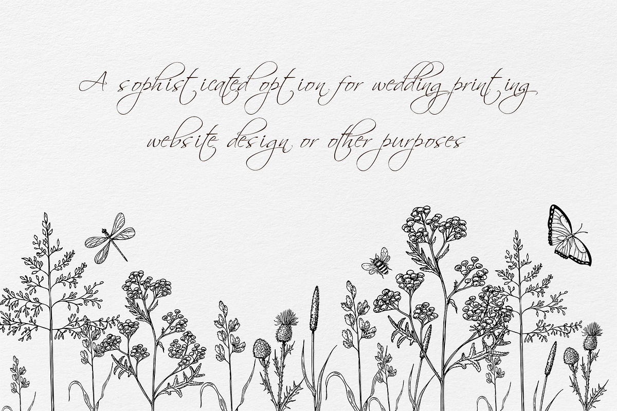 WILDFLOWERS Hand-drawn Line Art, a Seasonal Illustration by Navenzeles (Photo 8 of 13)