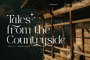 Fantastico - Modern Decorative, a Serif Font by Sohel Studio (Thumbnail 5 of 10)