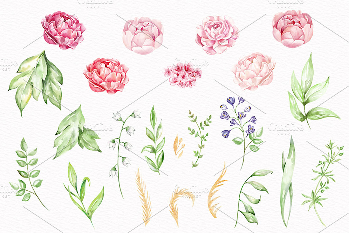 Pink Floral Watercolor Elements, a Decorative Illustration by STASIstudio (Photo 2 of 3)