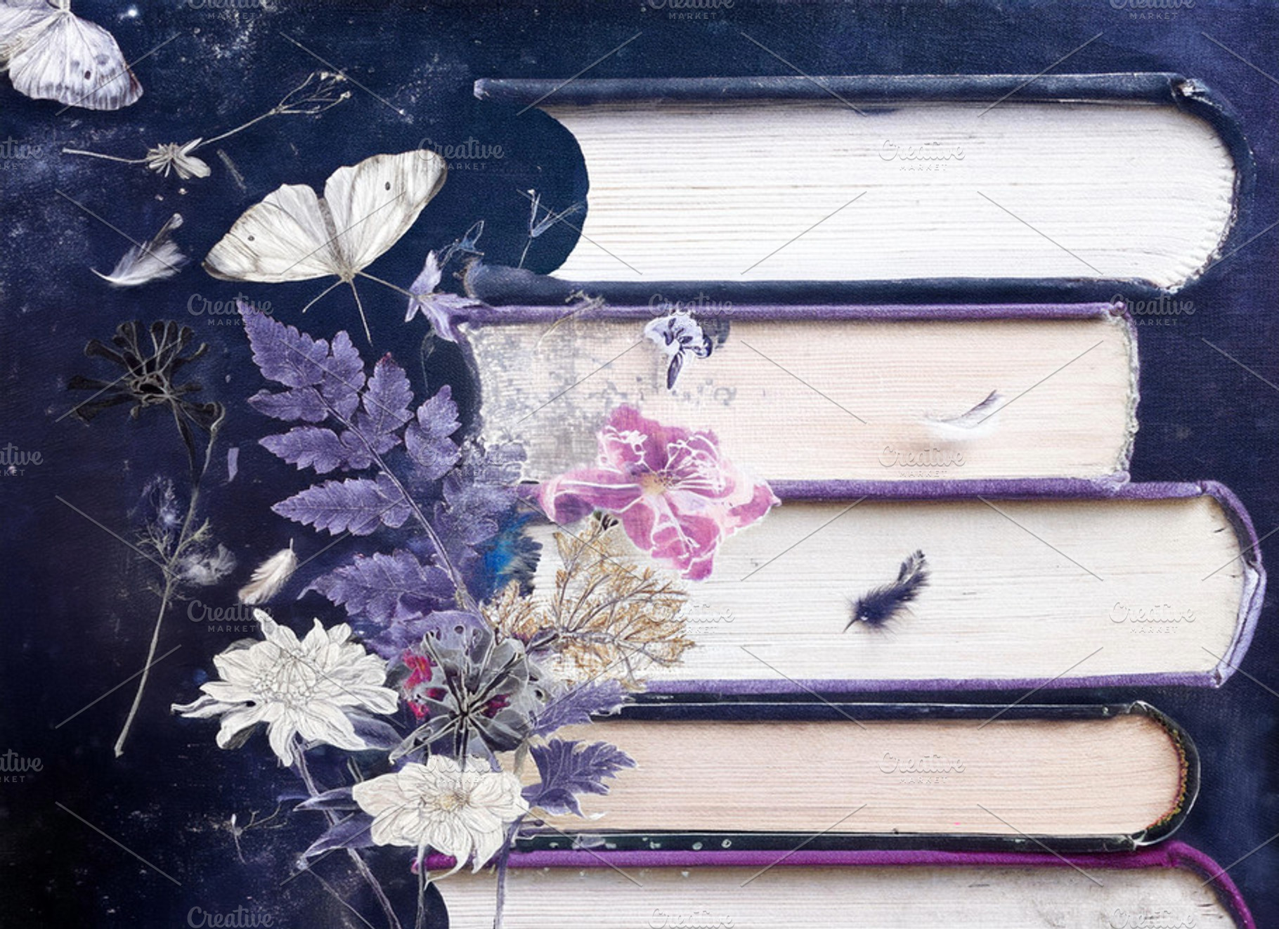 Cottagecore Books 6, a Nature Photo by Coral Antler