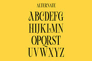 Beachwalk | Elegant Retro Serif, a Serif Font by Muntab_Art (Thumbnail 10 of 13)