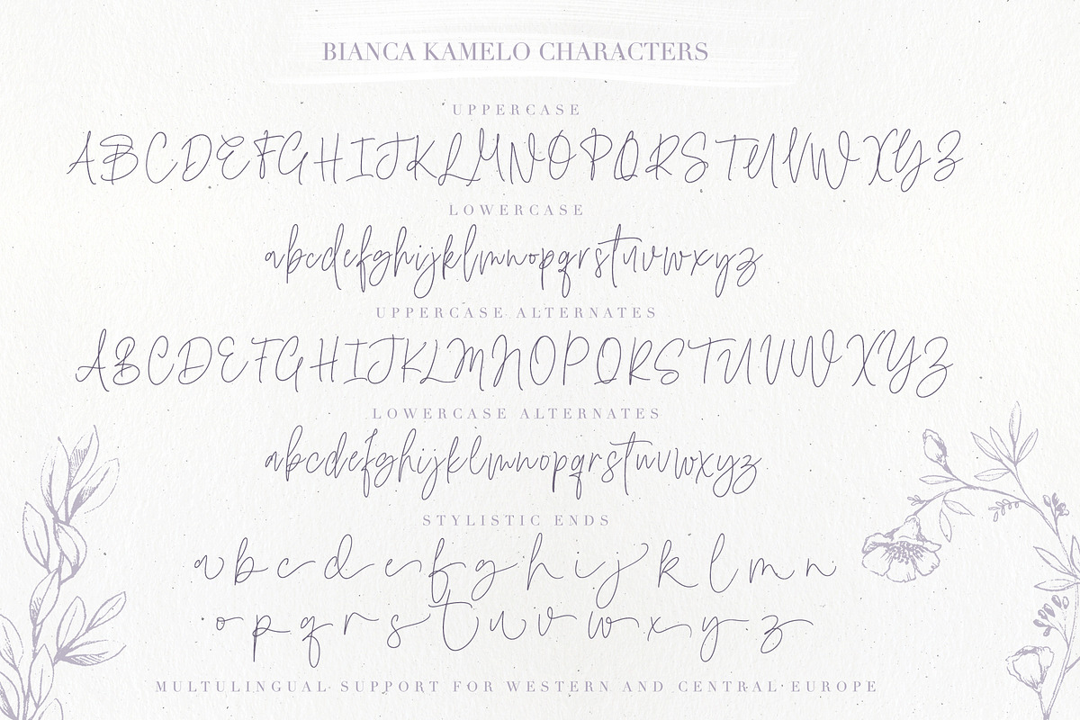 Bianca Kamelo Font, a Script Font by Ivan Rosenberg (Photo 11 of 11)