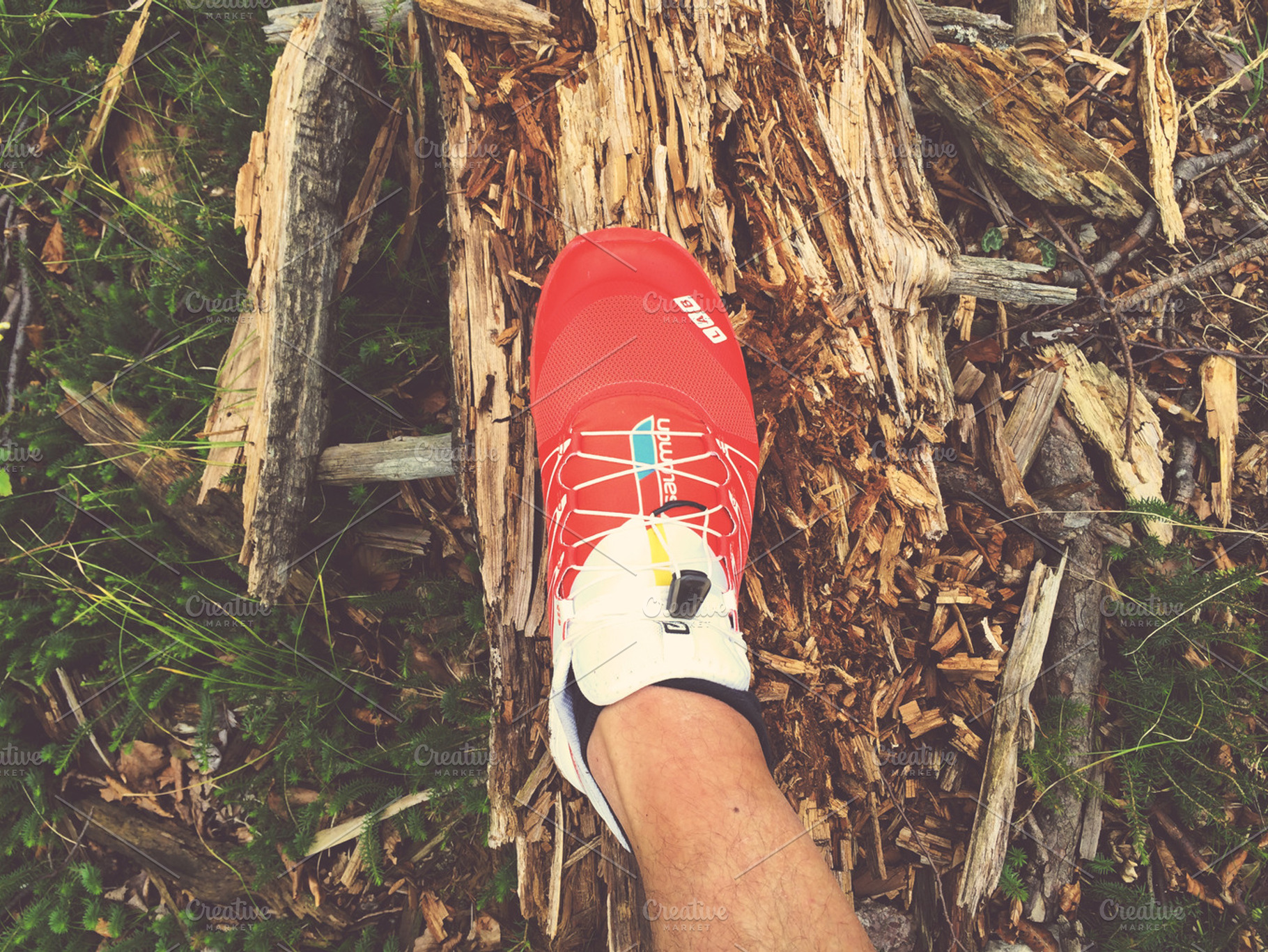 Running Shoes In The Forest Stock Photo Containing Run And Running