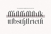 The Effolia | 9-Weight Classy Family, a Serif Font by Pista Mova (Thumbnail 11 of 31)