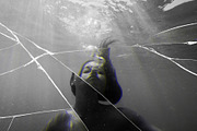 Broken Mirror Photo Effect, a Texture Graphic by Design Squad (Thumbnail 2 of 7)