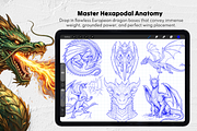150 Dragon Procreate Stamp Brushes, a Brush Add-On by Selentaori Studio (Thumbnail 4 of 11)