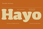 Brandier; Soft Serif Font Family, a Serif Font by Eko Bimantara (Thumbnail 5 of 11)