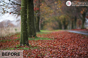 Autumn Lightroom Preset, an Action Add-On by The Bell Sisters (Thumbnail 4 of 7)
