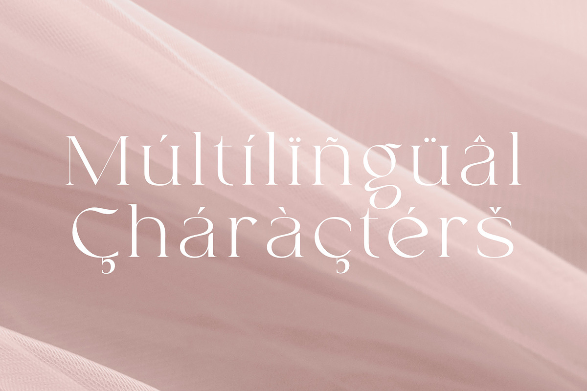 Ronners | An Elegant Serif Font, a Sans Serif Font by Andrimada Creative (Photo 10 of 14)