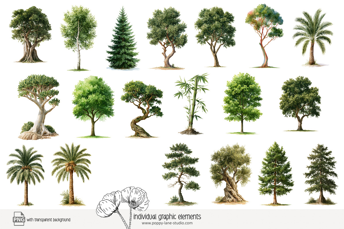 100 watercolour global tree clip art, a Seasonal Illustration by Poppy Lane Studio (Photo 10 of 11)