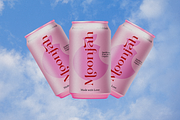 Sunny Paradise - Decorative Typeface, a Serif Font by Windfall Co (Thumbnail 3 of 11)