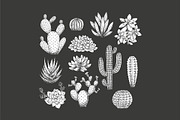 Cactus illustrations, an Illustration by adehoidar (Thumbnail 4 of 6)
