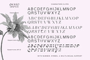 Cholleo Display, a Serif Font by Dora Typefoundry (Thumbnail 12 of 18)