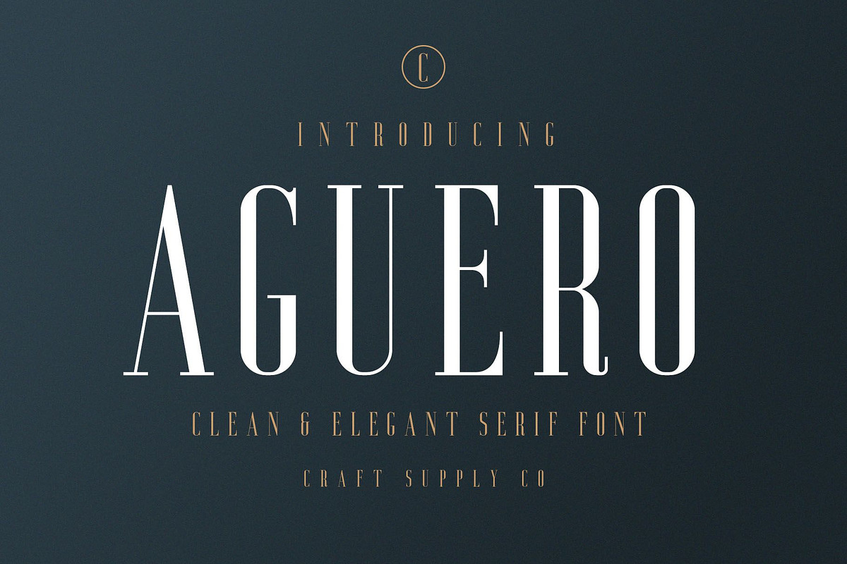 Aguero Serif - Clean & Elegant Font, a Serif Font by Craft Supply Co. (Photo 9 of 9)