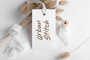 Publicity Brush Font, a Script Font by Sronstudio (Thumbnail 7 of 10)