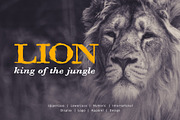 Warrior Life Font, a Serif Font by yantodesign (Thumbnail 2 of 7)