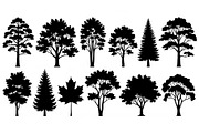 Woodland & Forest Tree Silhouettes B, an Illustration by jahid234 (Thumbnail 7 of 41)