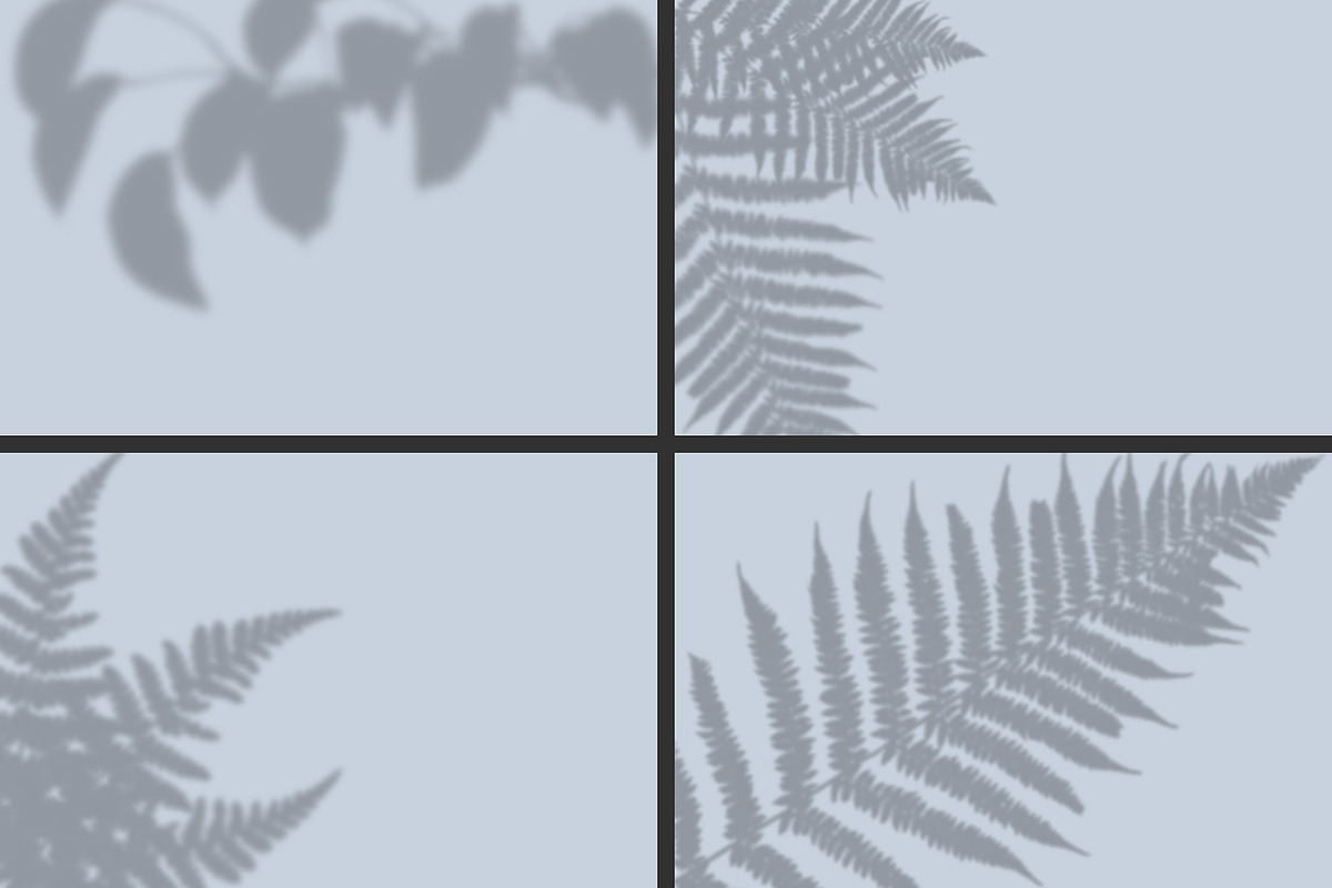 50 plants shadows, a Mockup by AnastasiyaOleynik (Photo 7 of 14)