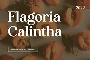 Flagoria Calintha Serif Font Family, a Serif Font by UICreative (Thumbnail 1 of 14)
