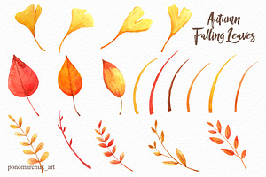 Autumn Falling Leaves