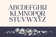 Sangect Display, a Serif Font by Pista Mova (Thumbnail 12 of 12)
