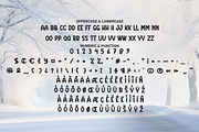 Winter Wonderful | Script Font, a Script Font by Scratchones (Thumbnail 7 of 8)