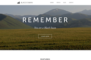 Black Swan Portfolio Template(PSD), an App Template by UI Store (Thumbnail 2 of 5)
