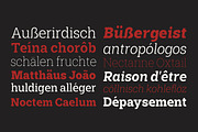 Shemekia, a Slab Serif Font by Areatype (Thumbnail 4 of 15)