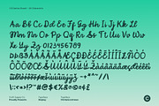CS Danica Drawn, a Script Font by Craft Supply Co. (Thumbnail 8 of 8)