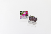 Square Film Photo Mockup psd png, a Product Mockup by Pretty Techie (Thumbnail 3 of 5)