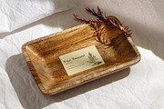 Island Pine Trees | Illustrations, an Object Illustration by Max Lockwood (Thumbnail 6 of 10)