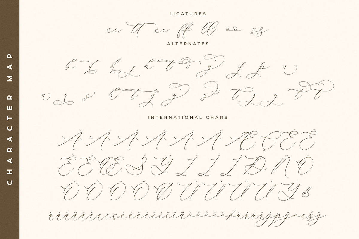 Waltney Flores A Beauty Calligraphy, a Script Font by Storytype Studio (Photo 14 of 15)