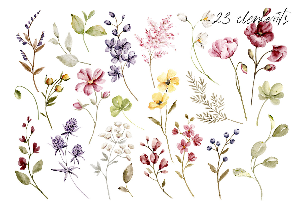 Wild flowers, poppies watercolor set, a Texture Illustration by Larisa Maslova (Photo 2 of 12)