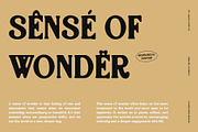 Guavine Blur, a Serif Font by Craft Supply Co. (Thumbnail 5 of 8)