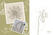Elegant Botanicals | 100% Hand drawn, a Decorative Illustration by Olia (Thumbnail 13 of 14)