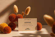 Kaash Mockup Collection, a Mac Mockup by Studio Santosha (Thumbnail 12 of 12)