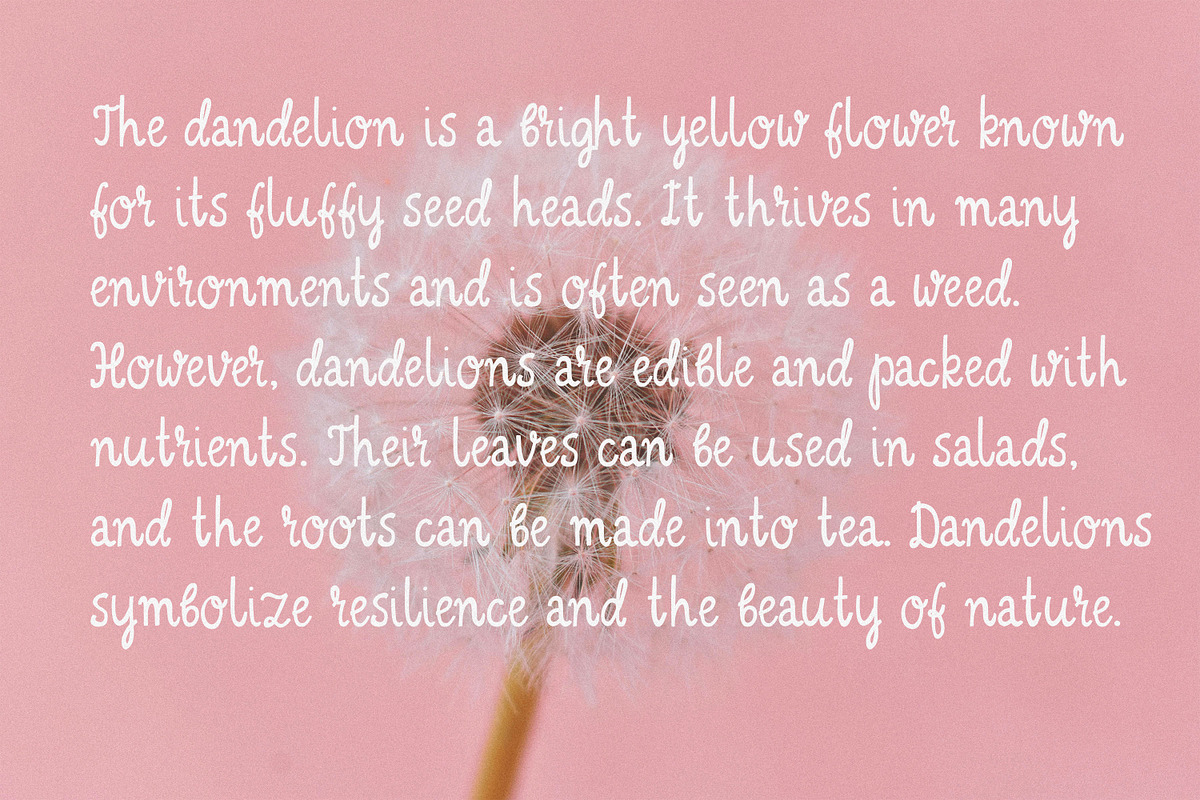 Lemon Frost  Playful Font TRIO, a Handwritten Font by AnMark (Photo 6 of 17)