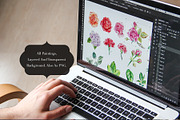Watercolor Flowers Pack Vol 1, an Illustration by emine (Thumbnail 6 of 7)