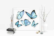 Set of watercolor blue butterflies, an Illustration by Art Watercolor (Thumbnail 2 of 6)