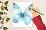 Watercolor Blue Butterfly Clipart, an Illustration by DreamCafeArt (Thumbnail 6 of 6)