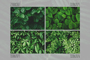 Green textures - photo bundle, a Nature Photo by rorygez fresh (Thumbnail 3 of 6)