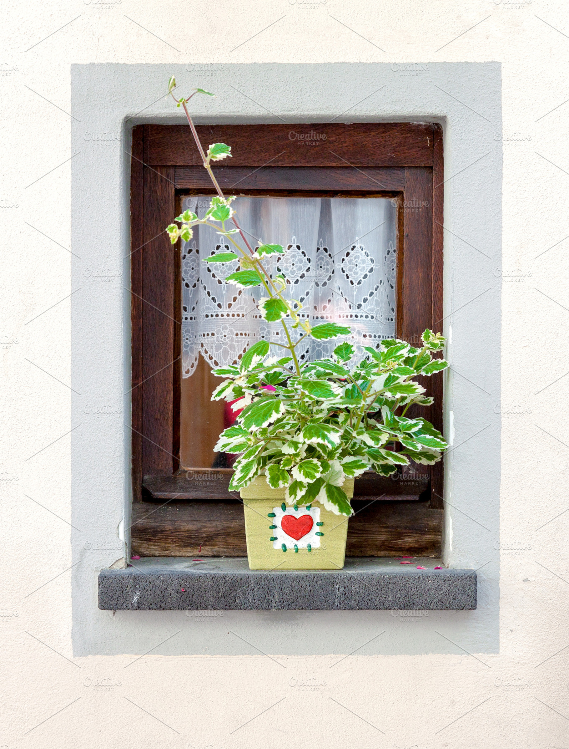 Window decorated with flower pot, an Architecture Photo by BOOCYS