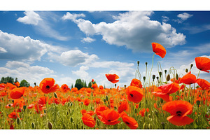 vibrant wildflowers poppy field ai, a Nature Photo by pikepicture