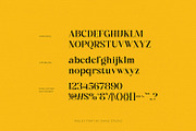 Ridley, a Serif Font by Dikas Studio (Thumbnail 5 of 10)
