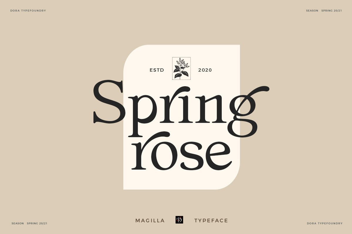 Magilla - Serif Font, a Serif Font by Dora Typefoundry (Photo 3 of 19)